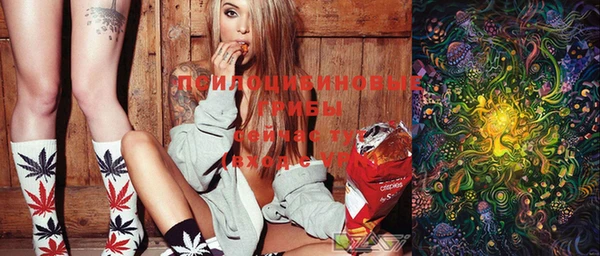 ECSTASY Новодвинск