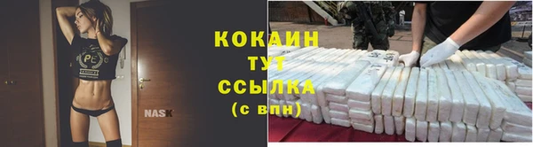 jwh Новозыбков