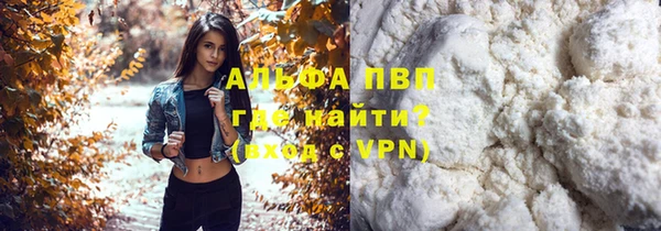 ECSTASY Новодвинск