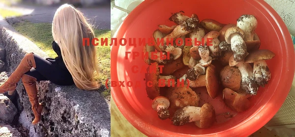 jwh Новозыбков