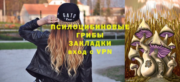 ECSTASY Новодвинск