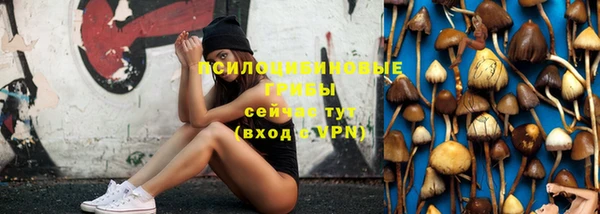 ECSTASY Новодвинск