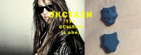 ECSTASY Новодвинск