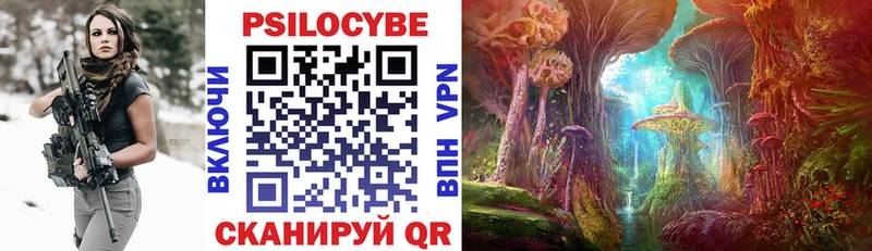 Псилоцибиновые грибы Psilocybine cubensis Сертолово