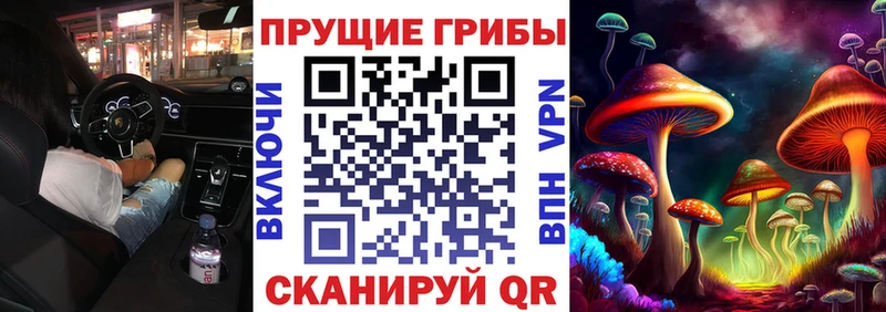 Галлюциногенные грибы MAGIC MUSHROOMS  Сертолово 